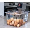 Термостат погружной INNOCOOK COMPACT